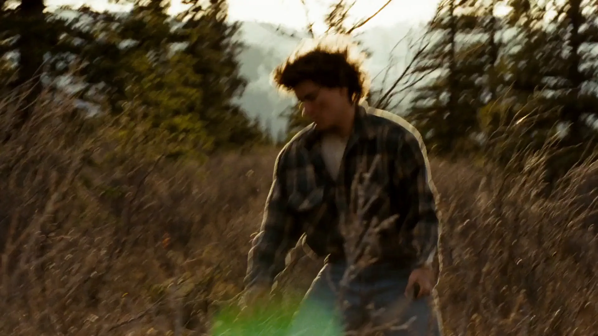 Coming-of-Age Film in Into the Wild (2007)