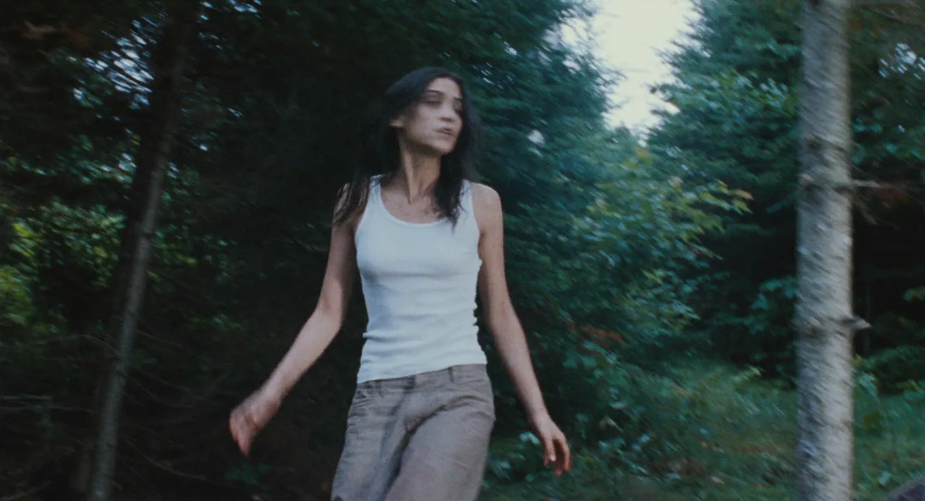 Genre Conventions in Martyrs (2008)