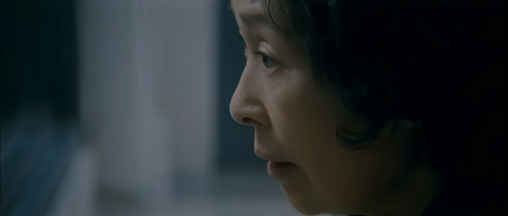 Profile Shot in Mother (2009)