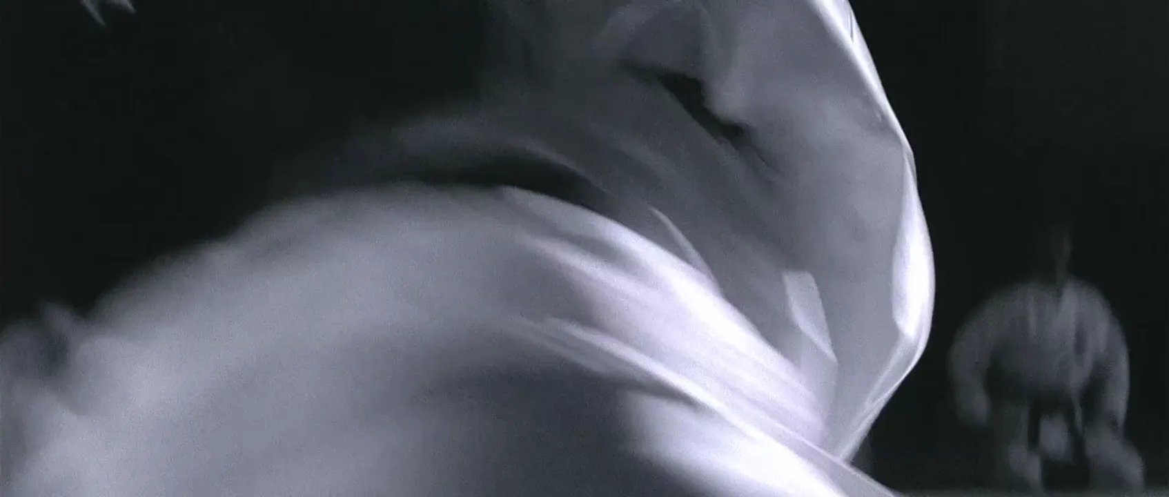 Motion Blur in Ip Man (2008)