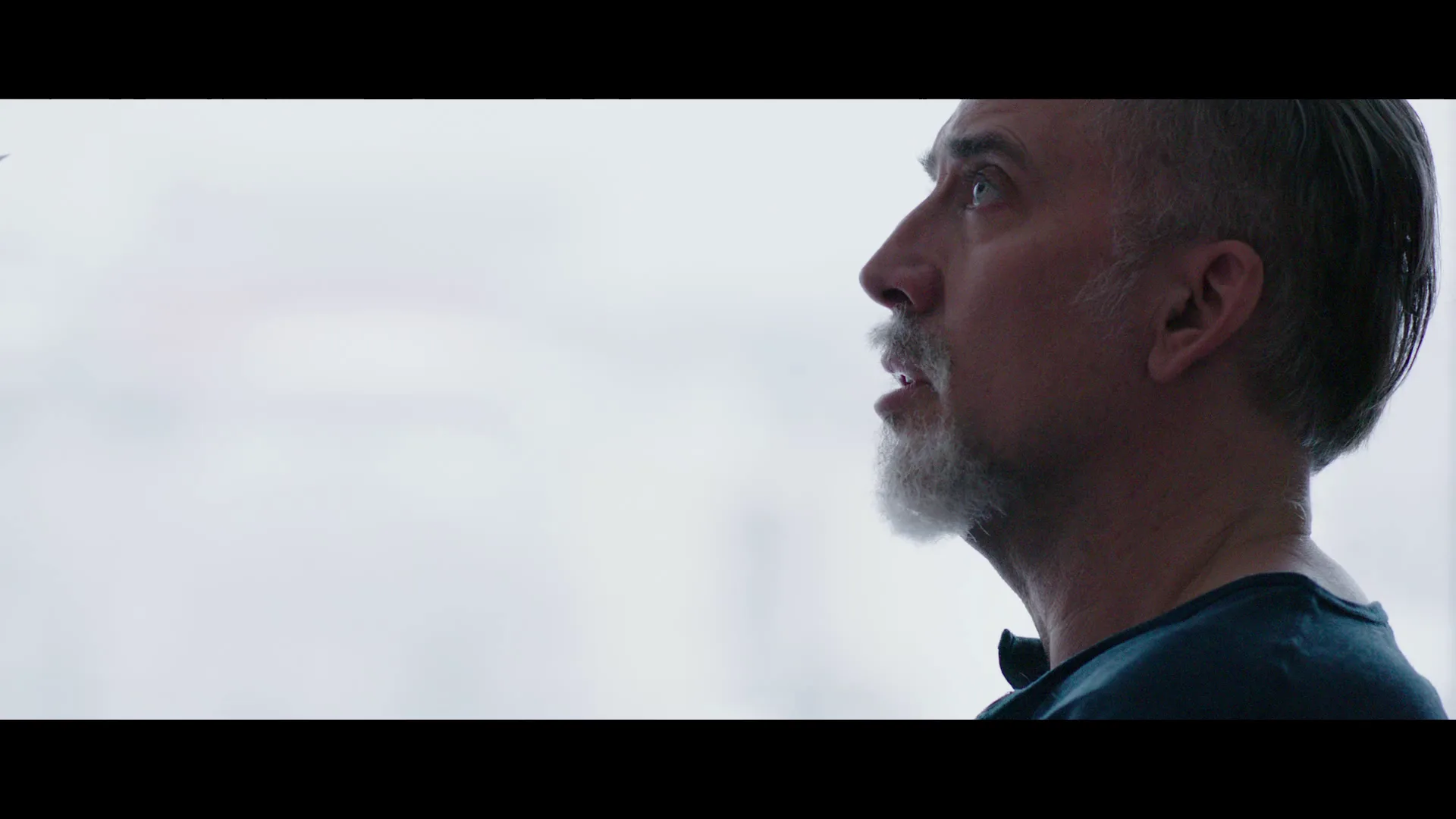 Short Siding in Dying of the Light (2014)