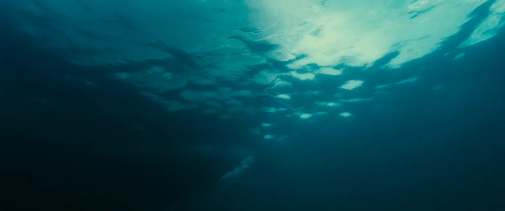 Underwater Shot in August: Osage County (2013)