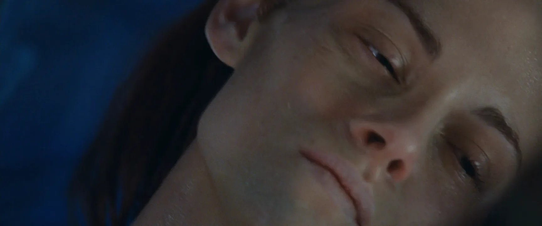 Soft Light in The Twilight Saga: Breaking Dawn - Part 1 (2011)