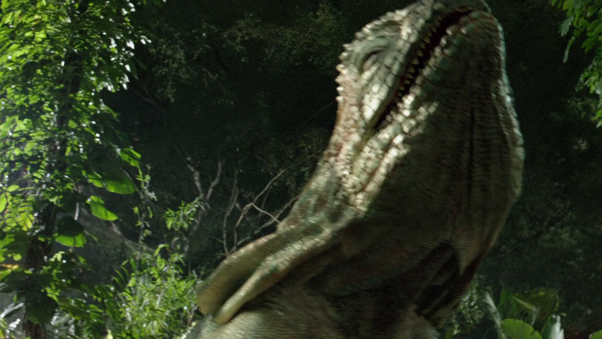 3D Film in Journey 2: The Mysterious Island (2012)