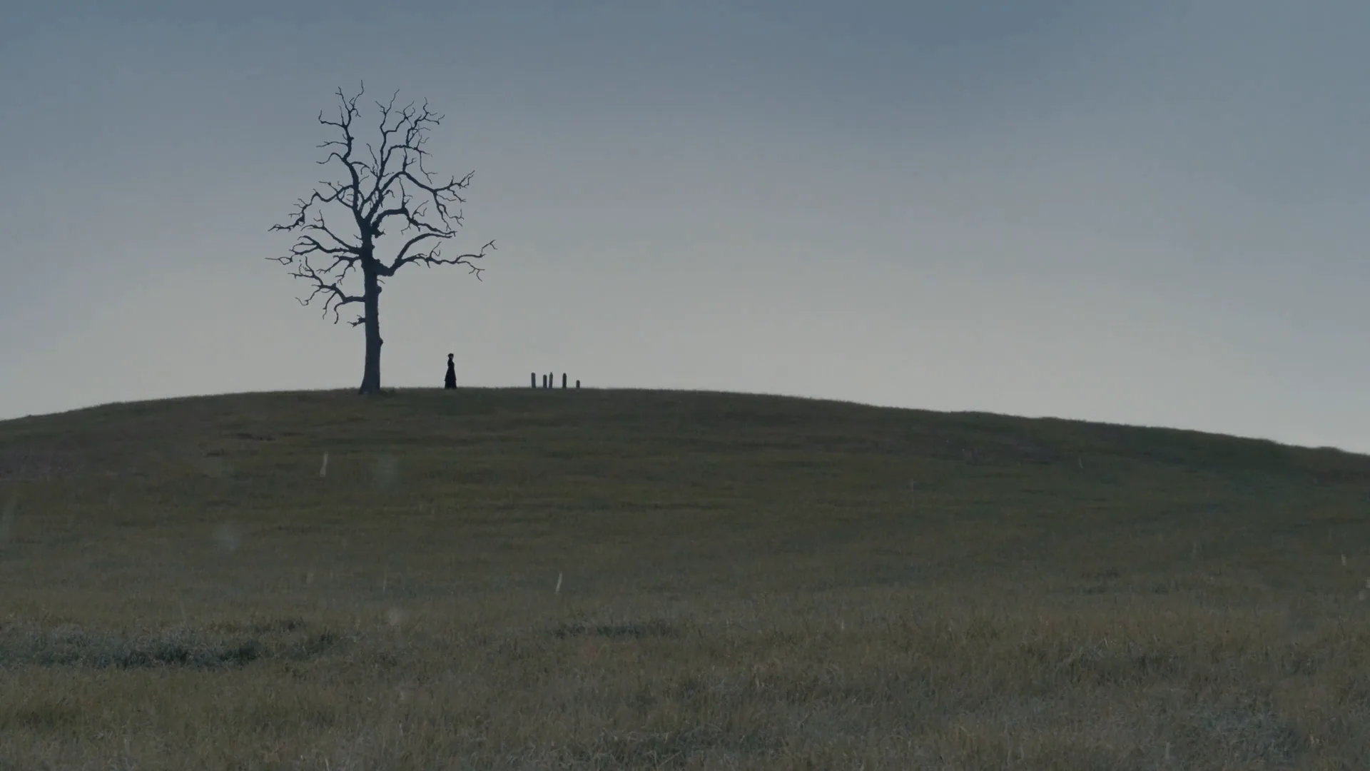 Falling Action in True Grit (2010)