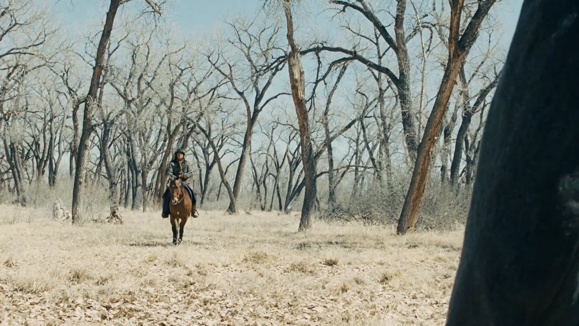 Focal Length in True Grit (2010)