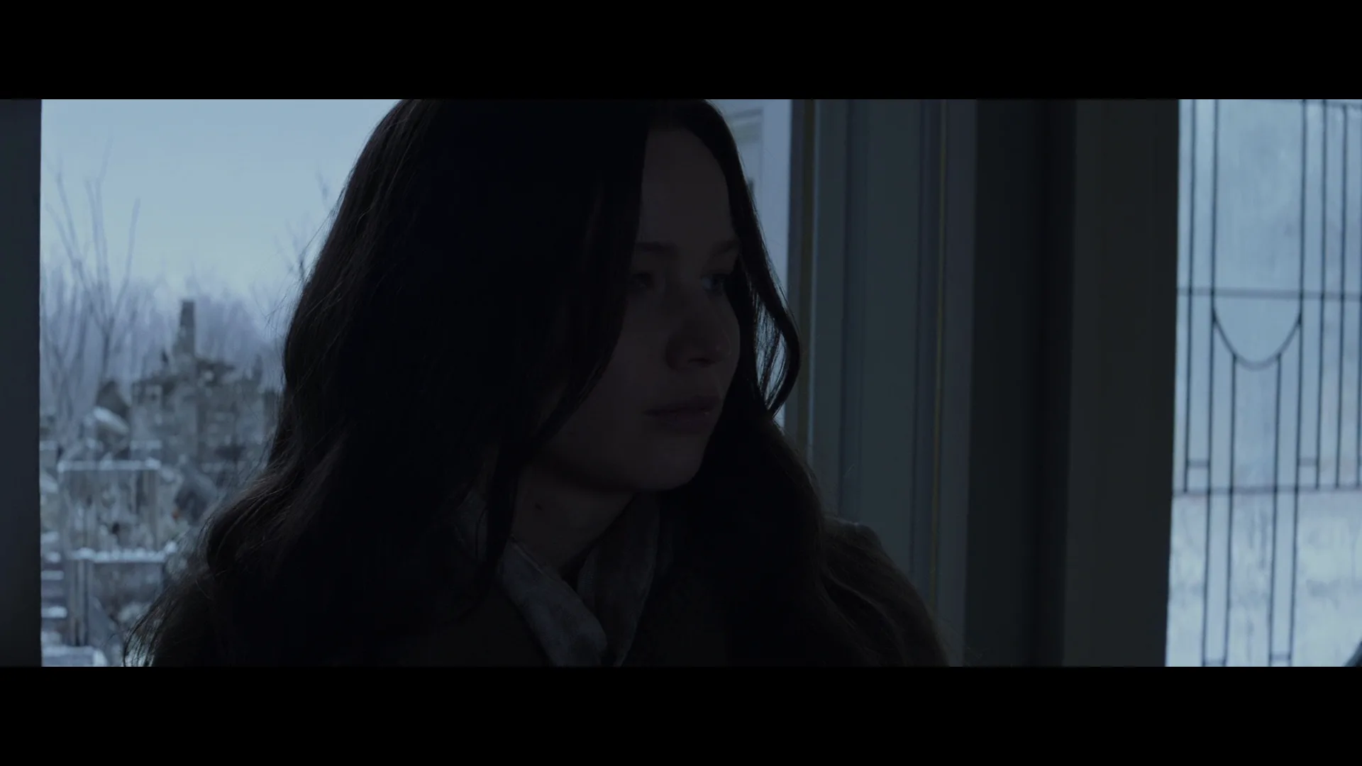 Desaturated Look in The Hunger Games: Mockingjay - Part 2 (2015)