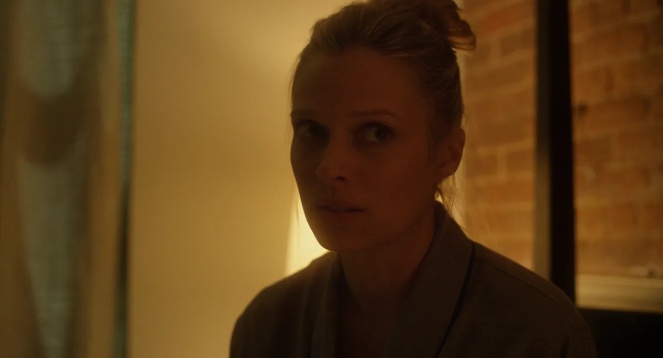 Auteur Theory in Side Effects (2013)