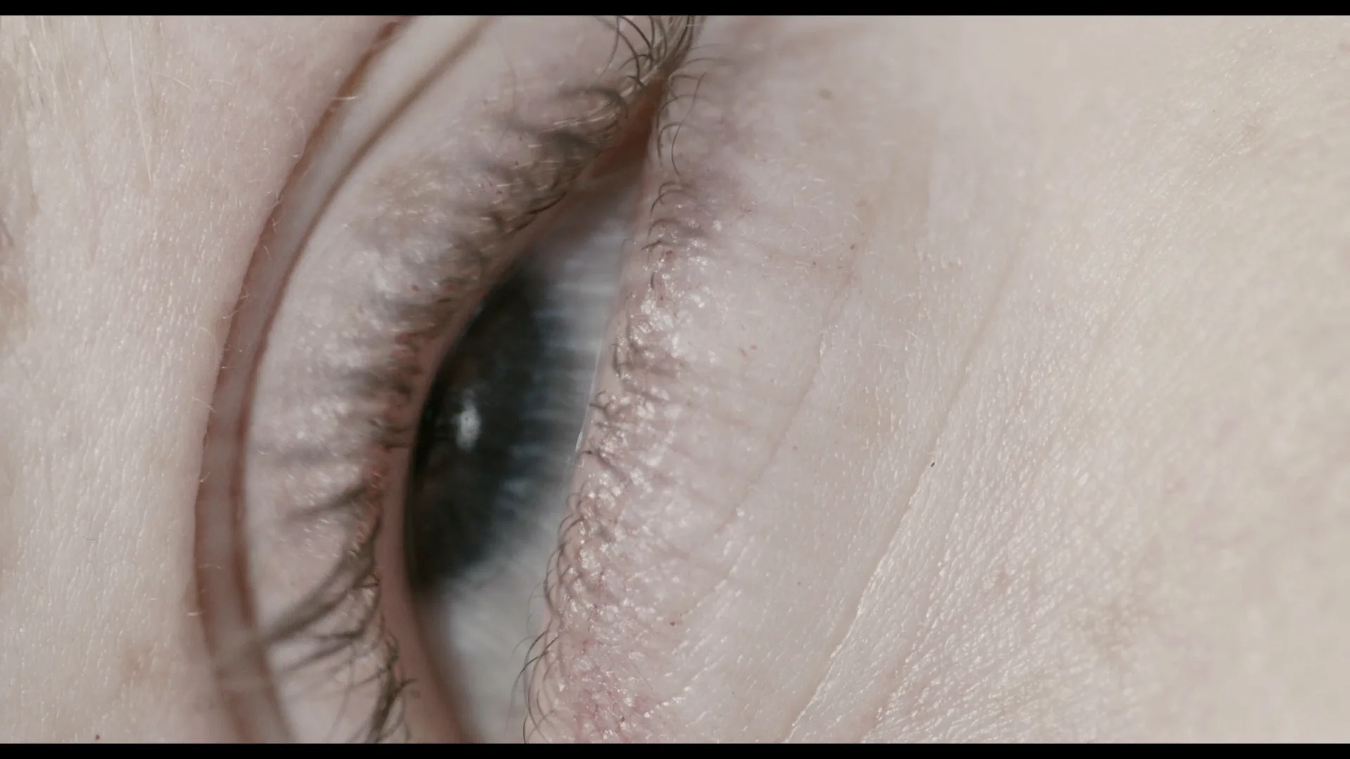 Extreme Close-Up in Antiviral (2012)