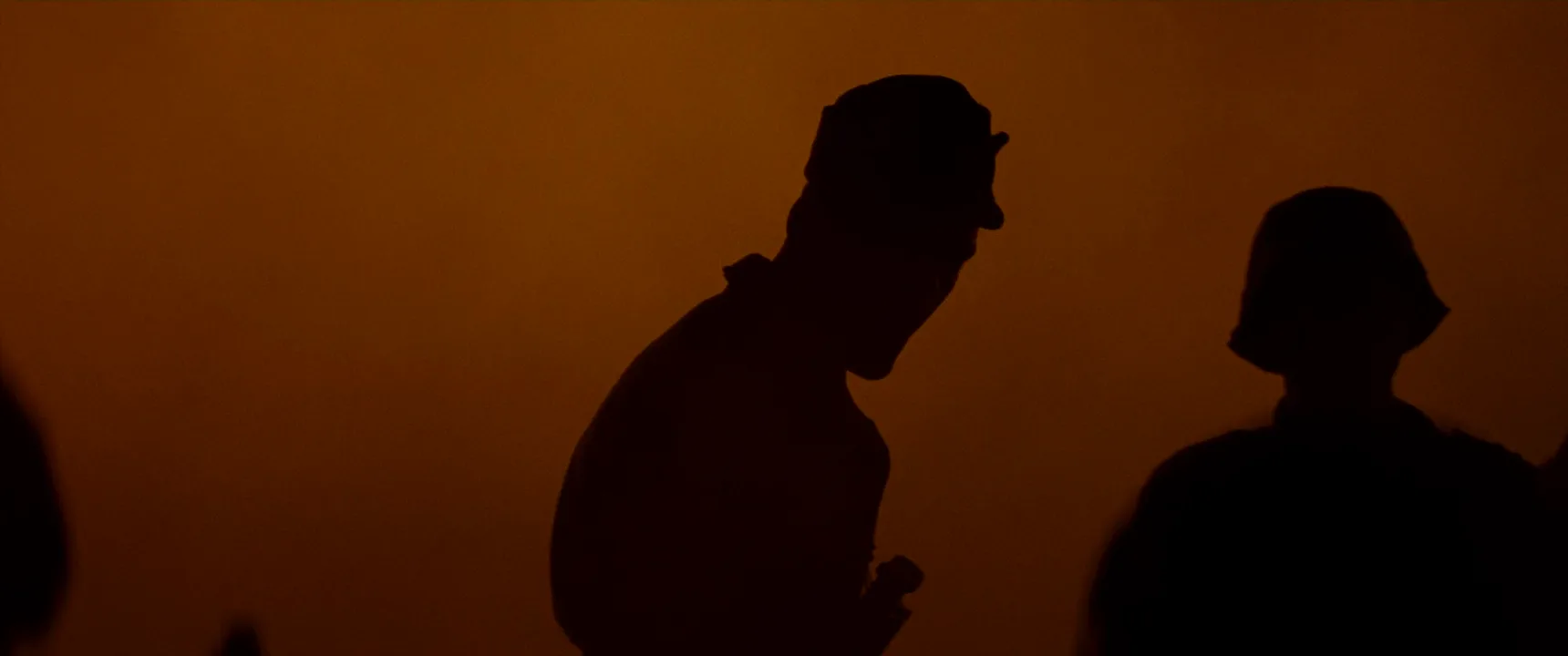Silhouette in Fury (2014)