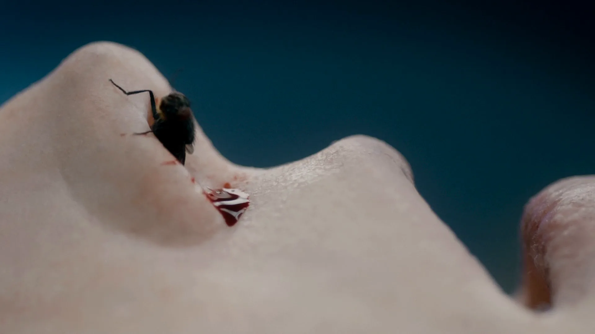 Macro Shot in The Autopsy of Jane Doe (2016)