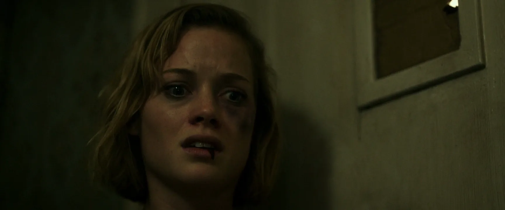 Horror Film in Don't Breathe (2016)