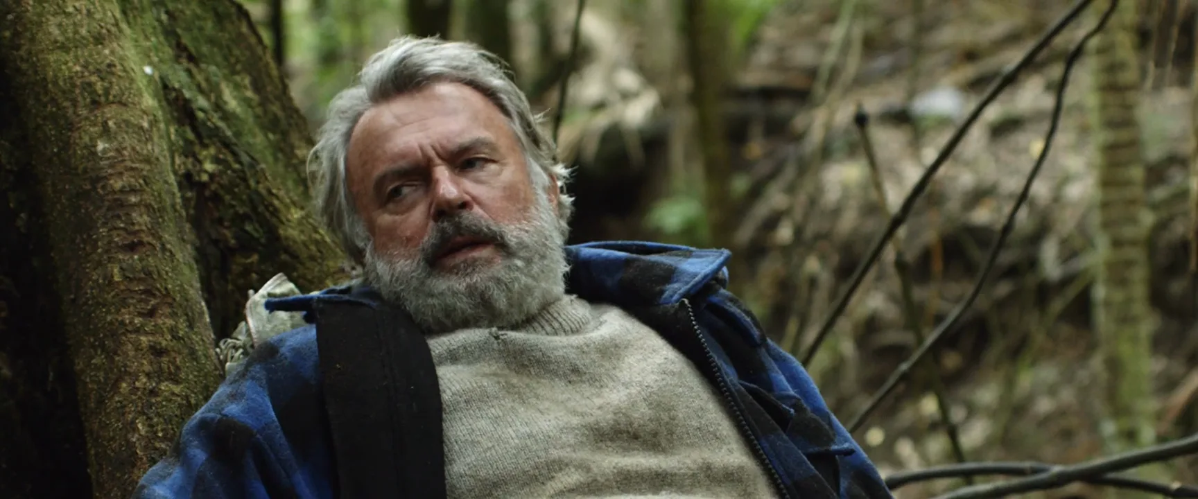 Focal Length in Hunt for the Wilderpeople (2016)